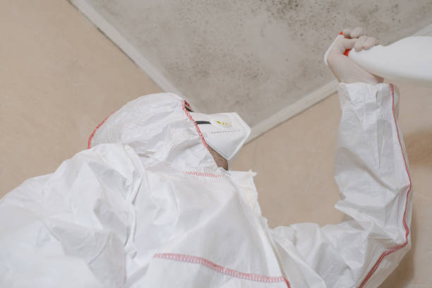 Best Commercial Mold Remediation in Anahuac, TX