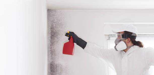 Best Residential Mold Remediation in Anahuac, TX